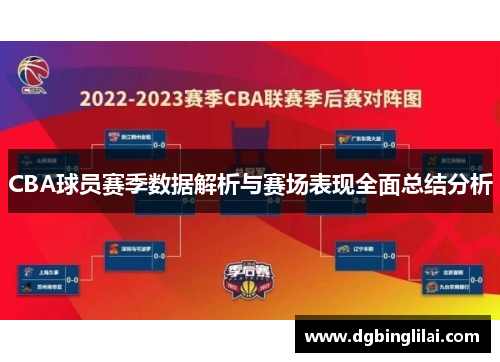 CBA球员赛季数据解析与赛场表现全面总结分析