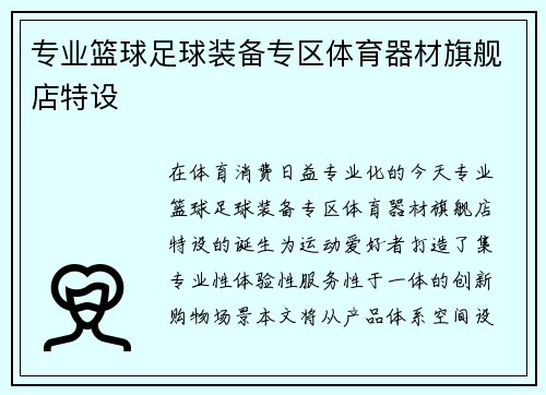 专业篮球足球装备专区体育器材旗舰店特设