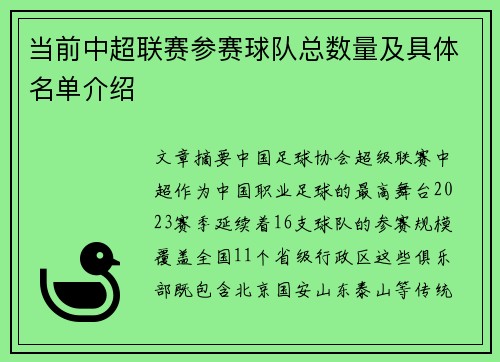 当前中超联赛参赛球队总数量及具体名单介绍