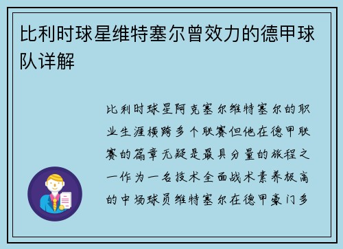比利时球星维特塞尔曾效力的德甲球队详解